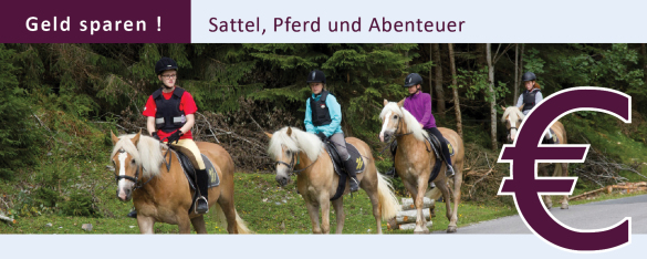 reiturlaub, reiterhof, haflinger, filzmoos, salzburg, österreich - Hammerhof7